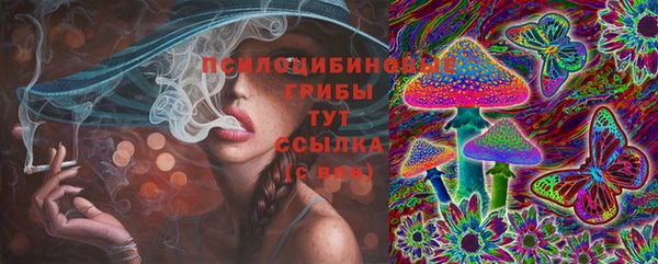 2c-b Осташков