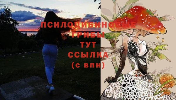 прущие грибы Остров