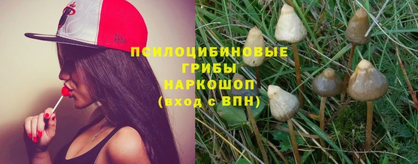 прущие грибы Остров