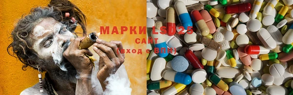 прущие грибы Остров