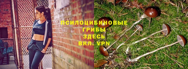 2c-b Осташков